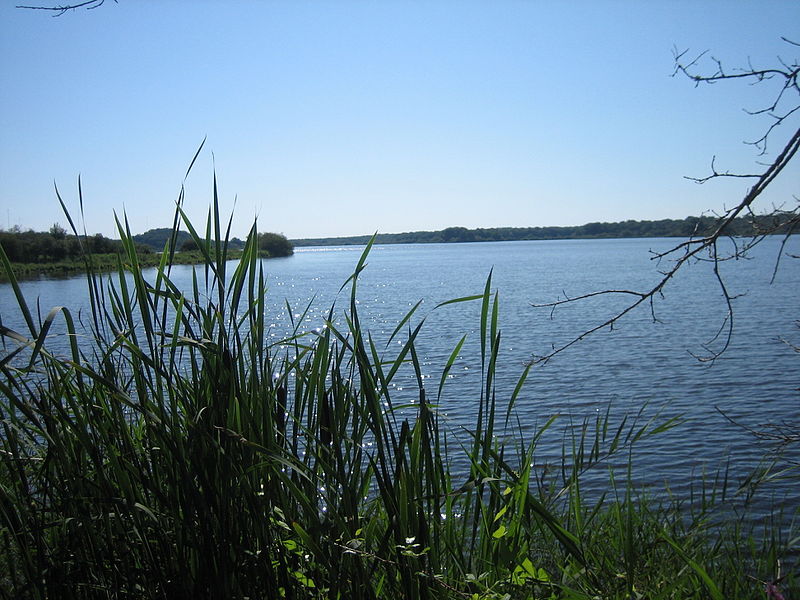 Parc Regionnal Brenne Étang De La Mer Rouge